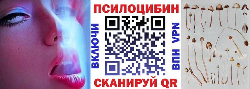 Купить  Сковородино  Псилоцибиновые грибы Cubensis 